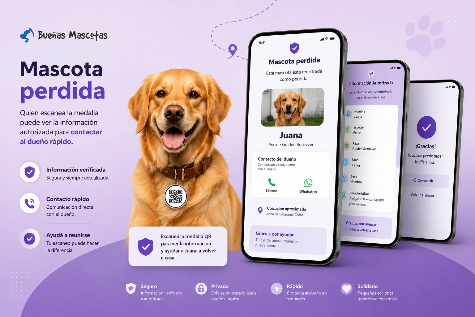 Mascota perdida