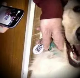 Paso 3: Escanear el QR